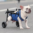 thumbnail image 2 of Adjustable Dog Wheelchair For Back Legs - Mobility Aid For Disabled Pets -, 2 of 5