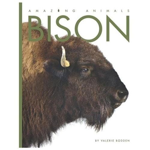 Amazing Animals: Bison