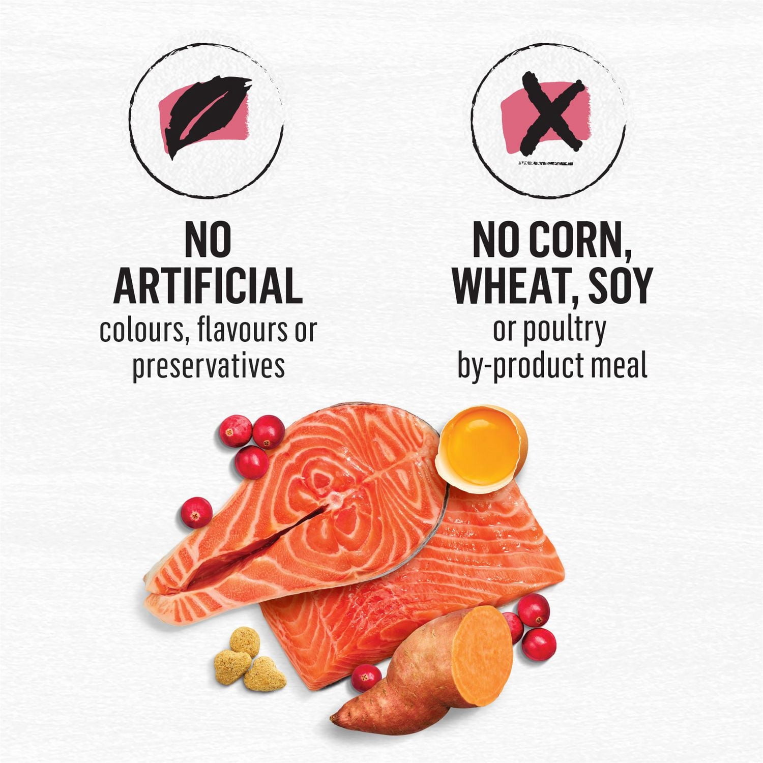 Beyond Sans Grains pour Chats d'Intérieur Recette au Saumon Sauvage Pêché, à l'Œuf & la Patate Douce, Nourriture Sèche 1.36kg