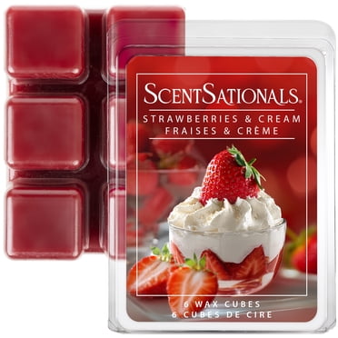 Cubes de cire parfumée ScentSationals - Fraise et Crème