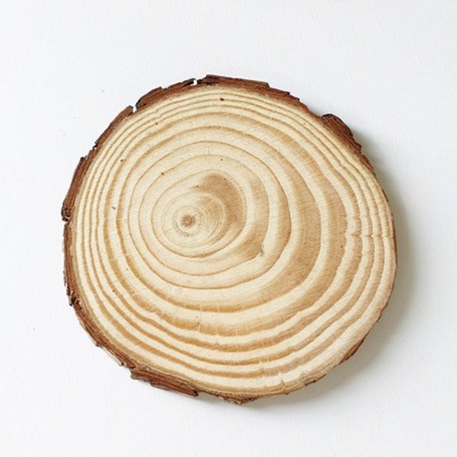 Unfinished Natural with Tree Bark Wood Slices 4 Pcs Disc Coasters Wood Coaster Pieces Craft Wood Kit Circles Christmas Ornaments DIY Crafts with Bark for Crafts Rustic Wedding