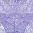 thumbnail image 3 of Culottes pour Femmes Taille Mi-Haute Fines Effet Rehausse-Fesses Aguichant Transparentes Aguichant en Dentelle, 3 of 8