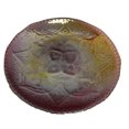 thumbnail image 1 of Glass Plate, 1 of 1
