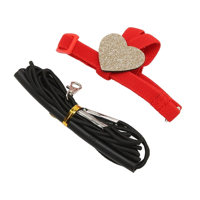 Flying Harness Leash, Safe Durable Bird Flying Traction Rope Cartoon Style Rubber Handle 2.2yd Long For Flying XS 25.5CM,S 32CM,M 34CM