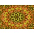 thumbnail image 1 of Ahgly Company Tapis d'Aire Rectangulaire Transitionnel Brun Acajou pour Intérieur, Lavable à la Machine, 2 Pieds x 3 Pieds, 1 of 7