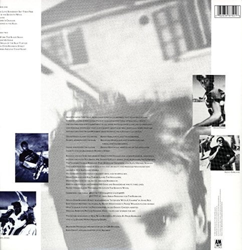 Sting - The Dream of the Blue Turtles (vinyl)