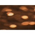 thumbnail image 1 of Ahgly Company Machine Washable Indoor Rectangle Transitional Mahogany Brown Area Rugs, 2' x 3', 1 of 7