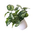 thumbnail image 5 of fastboy Artificial Potted Plant Leaf Simulation Leaves Home Office Desktop Greenery Decoration, Plant Type 7, 5 of 5