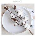 thumbnail image 3 of Cotton Stems Farmhouse Style Display Filler - Floral Decoration, 3 of 8