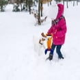 thumbnail image 4 of Jierger Ensemble de Jouets de Neige et de Plage Multifonction 2 Pcs pour Enfants, Jouets de Plage et de Neige Neige et Sable Mold pour Enfants Adultes Jouet d'Extérieur et Jouet de Plage et Jouet de Neige, 4 of 9