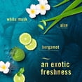 thumbnail image 4 of Febreze Plug In Air Freshener, Odour-Fighting Scented Oil Refill, Elemental Scent Mix, 3 Refills, 4 of 13