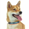 thumbnail image 1 of Zubaz NFL Collier Ajustable pour Animaux de Compagnie Chiens Chats, Miami Dolphins, Grand, 1 of 1