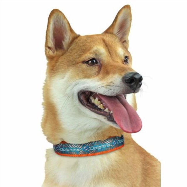 Zubaz NFL Collier Ajustable pour Animaux de Compagnie Chiens Chats, Miami Dolphins, Grand