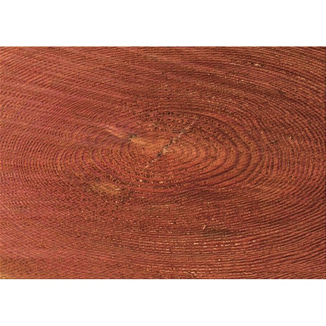Ahgly Company Tapis d'Intérieur Rectangulaire Transitionnel Orange Rouge Orange Lavable à la Machine, 2 Pieds x 3 Pieds
