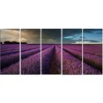 thumbnail image 2 of Champ de Lavande et Ciel Dramatique - Impression sur Toile Florale, 2 of 3