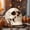 White, variant on Todaioua Resin Skull, Human Head Model for Home Decoration, Halloween Statue, Skull Model for Bookshelf and Desktop