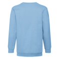 thumbnail image 2 of Fruit Of The Loom Kids  Classic 80/20 Set-In Sweatshirt (Pack of 2), 2 of 3