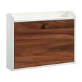 thumbnail image 1 of Sauder Anda Norr Wall-Mount Desk, Pearl Oak, 431222, 1 of 9
