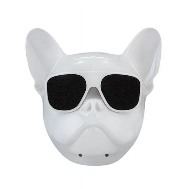 Rechargeable Bluetooth True Wireless Stereo Portable Dog Speaker: White