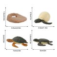 thumbnail image 3 of Plastic Animals Figures 4 Piece Insect Figure Animal Life Cycle Plastic Brood to Mature Period, 3 of 3