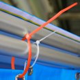 thumbnail image 2 of Pink Reusable Nylon Cable Ties With Buckle Lock Adjustable Zip Ties For Organizing Cables Wires Decorations Garden Plants Heavy Duty Weather Resistant Pack Of 100 Multi-Color, 2 of 5