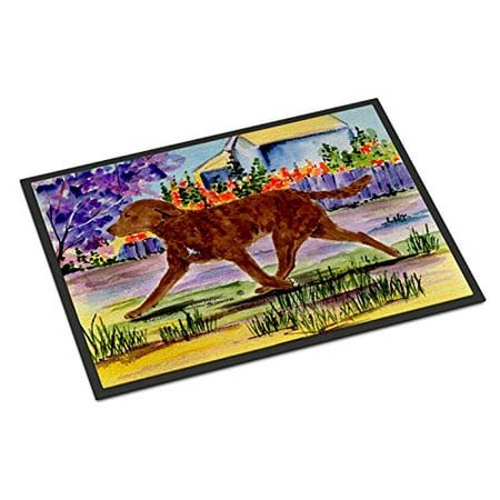 Caroline's Treasures SS8435MAT Tapis d'Extérieur Intérieur Chesapeake Bay Retriever 18x27, 18H X 27W, Multicolore