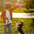 thumbnail image 2 of OULII 4 Pcs Ballon Ovale Animaux Ballon de Rugby TPR Durable Jeu Intérieur, 2 of 3