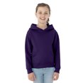 thumbnail image 1 of Jerzees Youth NuBlend Pull Over Hooded Sweatshirt, M, Deep Purple, 1 of 4