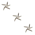 thumbnail image 2 of Maytalsory 5 Pieces Garden Pruner Spring Replacement Labor-saving Stainless Steel Volute Pruning Shears Springs Trimmer Tool 3Set, 2 of 6