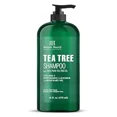 thumbnail image 1 of Botanic Hearth Tea Tree Shampoo, Vitamin C, Peppermint, Lavender and Rosemary Oil, Fights Dandruff and Dry Scalp, 16 fl oz, 1 of 7