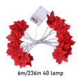 thumbnail image 3 of AKEGAMN Thanksgiving Halloween Battery Box LED Maple Leaf Light String Indoor And Outdoor Decorative Light String 6 Meters 40 Lights Double Leaf Three Battery Box Please protect it when using it out, 3 of 9
