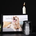thumbnail image 4 of Urne pour Animaux Pot Commémoratif Chats Chien Produits Funéraires Urne en Alliage Scellée, 4 of 6