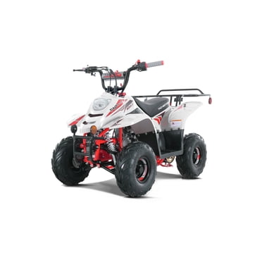 Tao Motor 110CC Nouveau Boulder, Moteur 4 Temps Max 0,6 Gal Véhicule Tout-Terrain à Essence (VTT), Rouge