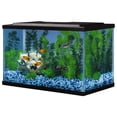 thumbnail image 3 of Tetra Glass Aquarium 5.5 Gallons, Rectangular Fish Tank, 3 of 4