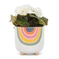 thumbnail image 3 of Multi-Color Rainbow Footed Planter, 3 of 5