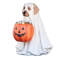 thumbnail image 2 of POINTERTECK Ghost Dog Support de Bol à Bonbons Halloween Bol à Bonbons pour Chien Halloween Support de Bonbons pour Chien Extérieur Bol à Bonbons d'Halloween Bol à Bonbons d'Halloween Grand Plat à Bonbons Citrouille-Chien, 2 of 6