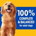 thumbnail image 3 of Pedigree Choice Cuts In Sauce Adult Wet Dog Food With Real Beef, 3 of 6