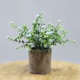 thumbnail image 2 of Fake Plant Potted Lifelike Small Artificial Greenery Plant Faux Plant Decoration, 2 of 10