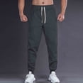 thumbnail image 3 of Ceisia Pantalon Décontracté Ample Uni pour Homme Taille Élastique à Cordon de Serrage Sport Cadeau Travail, 3 of 5
