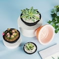 thumbnail image 2 of Pots For With Saucers Indoor Set Of 1 Flowerpots with Dish Flower Pot Pendant Light Flower Pot Holders for inside Flower with Handle Small Flower for Indoor, 2 of 4