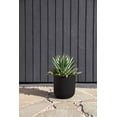 thumbnail image 2 of Veradek Mason Series Kona 10" Planter Black, 2 of 9
