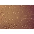 thumbnail image 1 of Ahgly Company Machine Washable Indoor Rectangle Transitional Orange Area Rugs, 2' x 4', 1 of 7