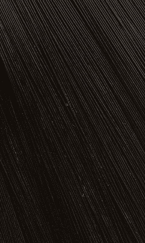 Bigen Speedy Hair Colour