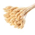 thumbnail image 1 of Coofit Dry Flower Branch DIY 24PCS Simple Natural Dried Grass Stem Dry Grass Decor, 1 of 8