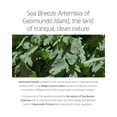 thumbnail image 3 of ROUND LAB Mugwort Calming Cream, 3 of 7