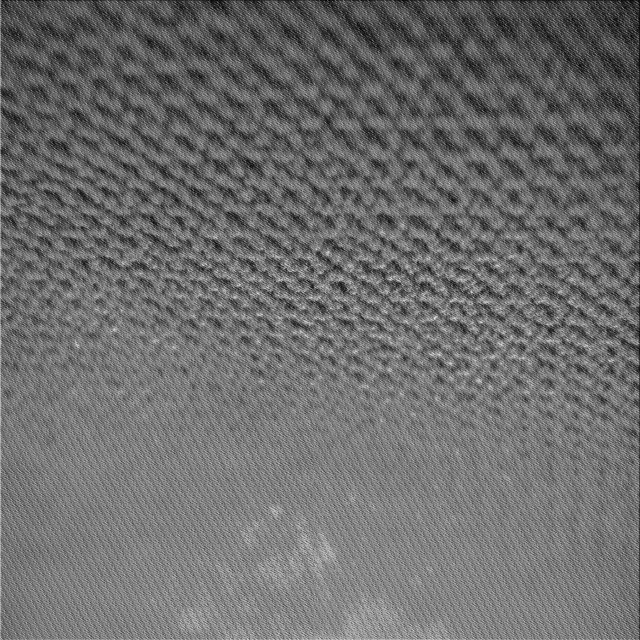 Ahgly Company Tapis d'Intérieur Lavable à la Machine, Carré, Transitionnel, Gris Canon, Tapis de Zone, 6 Pieds Carré