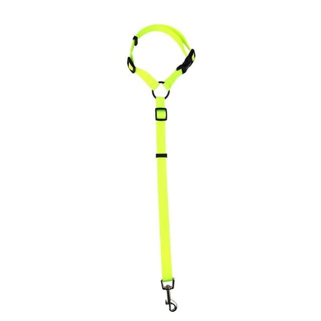 Ceinture de Réglage de Siège pour Chien, Sécurité Automobile, Ceinture de Poitrine pour Chiot