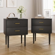 Semiocthome Nightstand Set of 2, Bedside Table with 2 Drawers for Bedroom, Living Room, Black