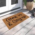 thumbnail image 4 of 16x24 Inch Anti-Slip Mat Backing Coir Doormat Home Décor Doormat Entrance Funny Door Mat Rug Summer Door Rug Funny Welcome Mats Outdoor Perfect for Front Door and Entryway Outdoor and Indoor, 4 of 5