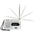 thumbnail image 3 of Birdeem Bc-R21 Portable Pocket Am/Fm Telescopic Antenna Battery Powered Radio Receiver, 3 of 12